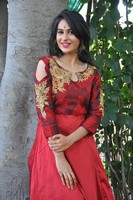 Priya Choudhary At Kumar Raja Opening